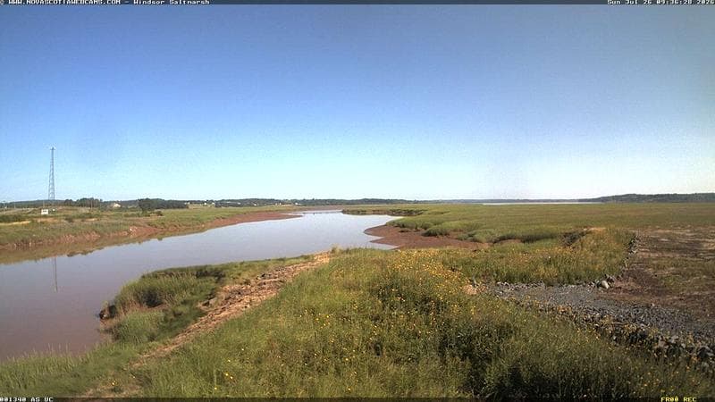 Windsor Salt Marsh