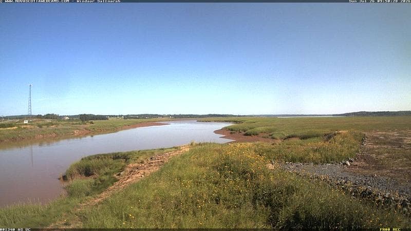 Windsor Salt Marsh