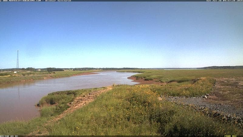 Windsor Salt Marsh