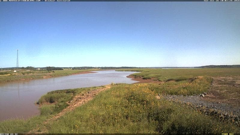 Windsor Salt Marsh