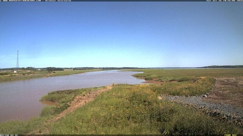 Windsor Salt Marsh