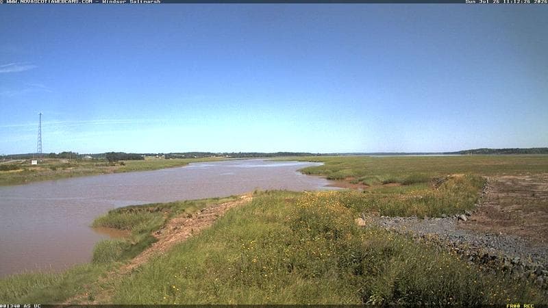 Windsor Salt Marsh