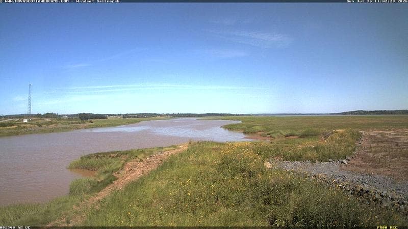 Windsor Salt Marsh