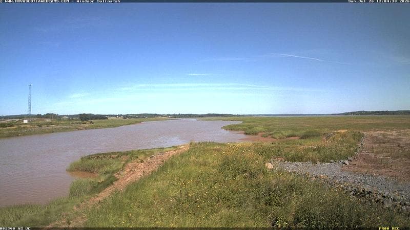 Windsor Salt Marsh