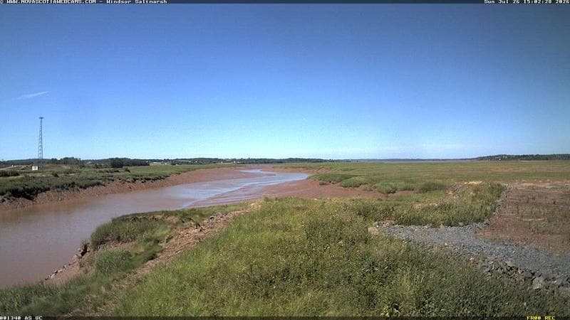 Windsor Salt Marsh