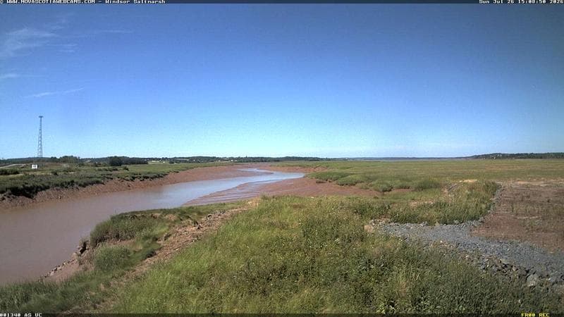 Windsor Salt Marsh