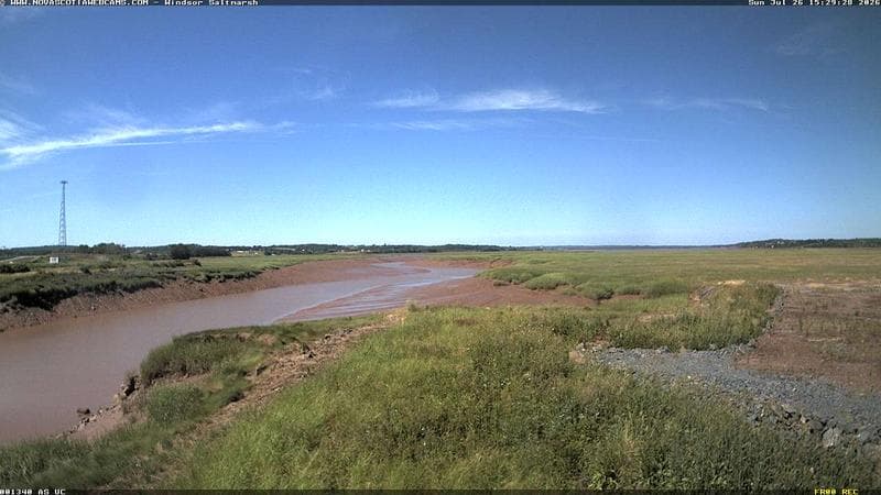 Windsor Salt Marsh
