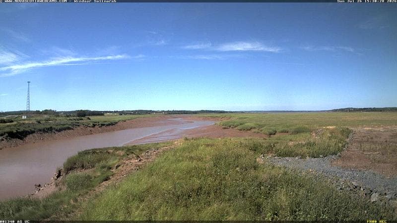 Windsor Salt Marsh