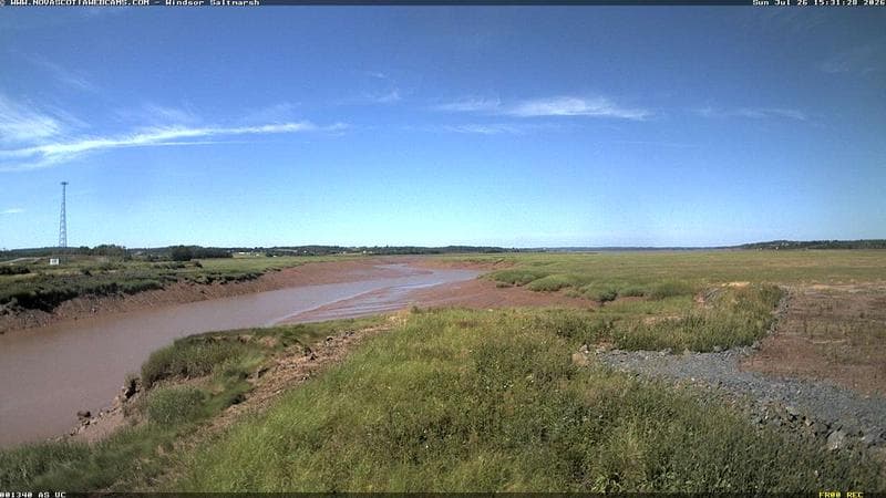 Windsor Salt Marsh