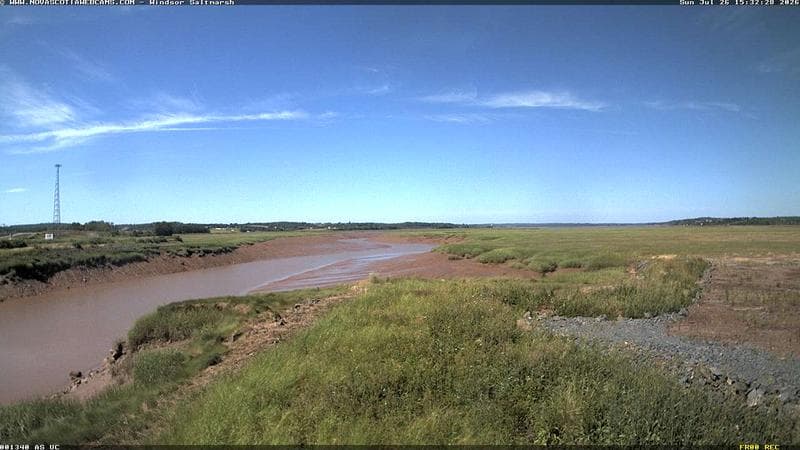 Windsor Salt Marsh