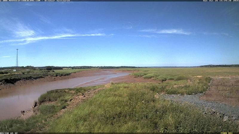 Windsor Salt Marsh