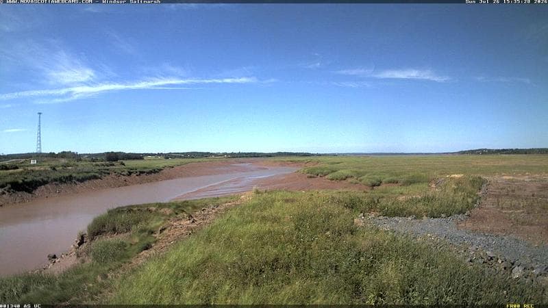 Windsor Salt Marsh