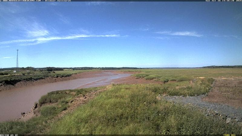 Windsor Salt Marsh