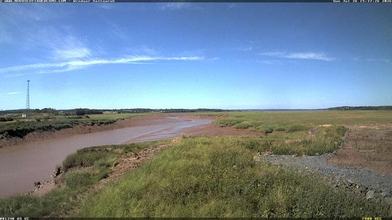 Windsor Salt Marsh