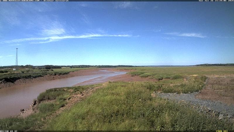 Windsor Salt Marsh