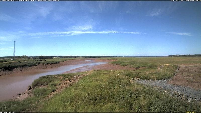 Windsor Salt Marsh