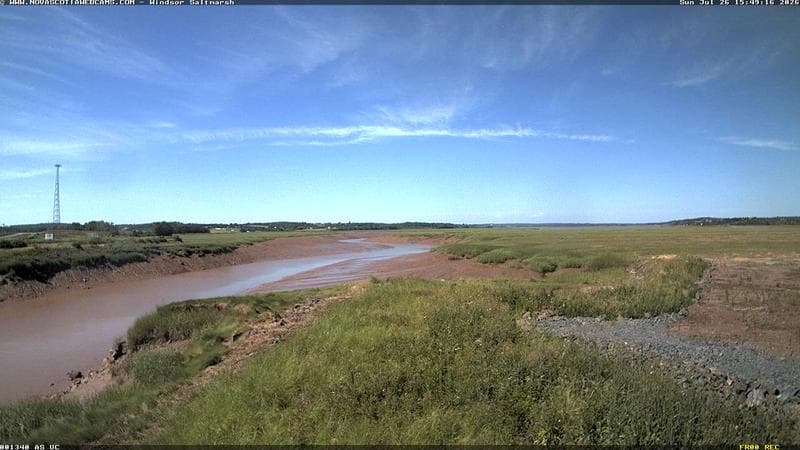 Windsor Salt Marsh