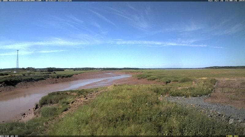 Windsor Salt Marsh