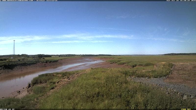 Windsor Salt Marsh