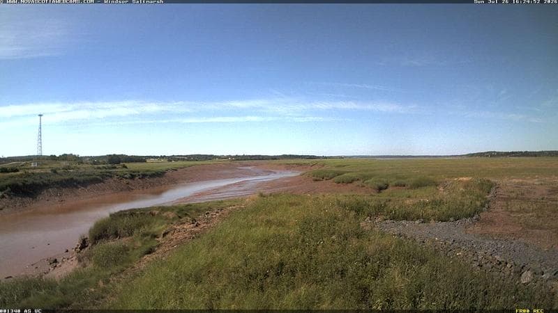 Windsor Salt Marsh