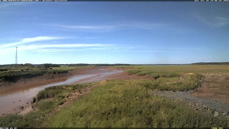 Windsor Salt Marsh