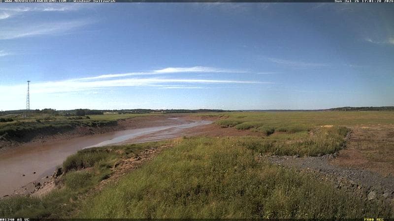 Windsor Salt Marsh