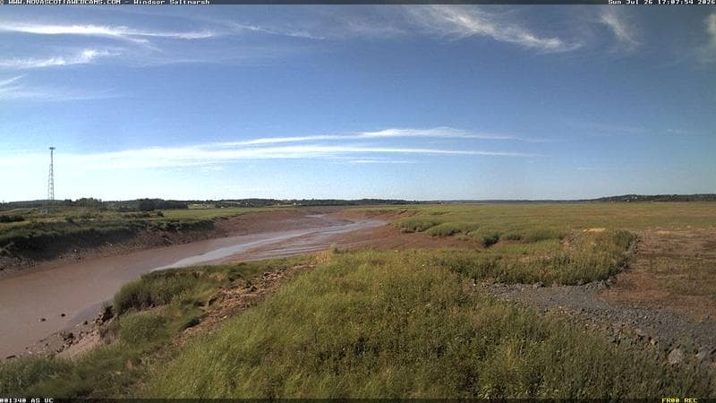 Windsor Salt Marsh