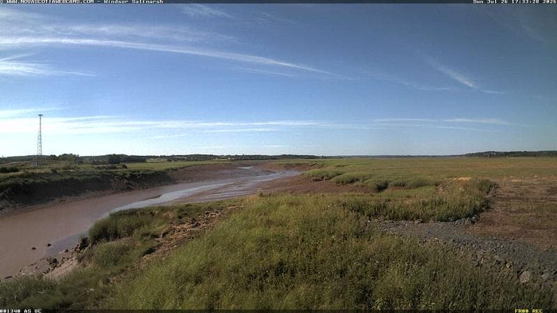 Windsor Salt Marsh