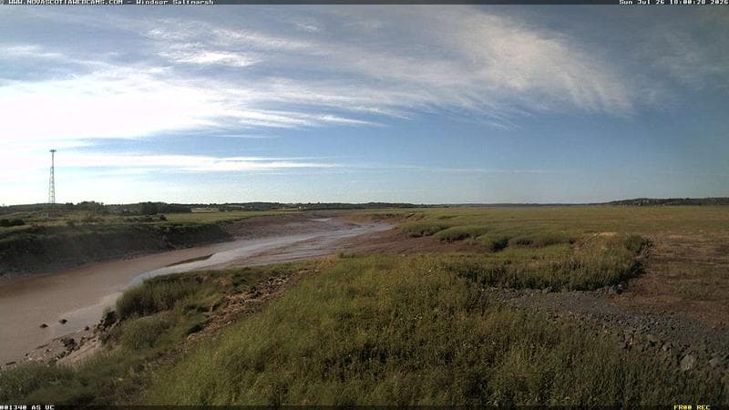 Windsor Salt Marsh