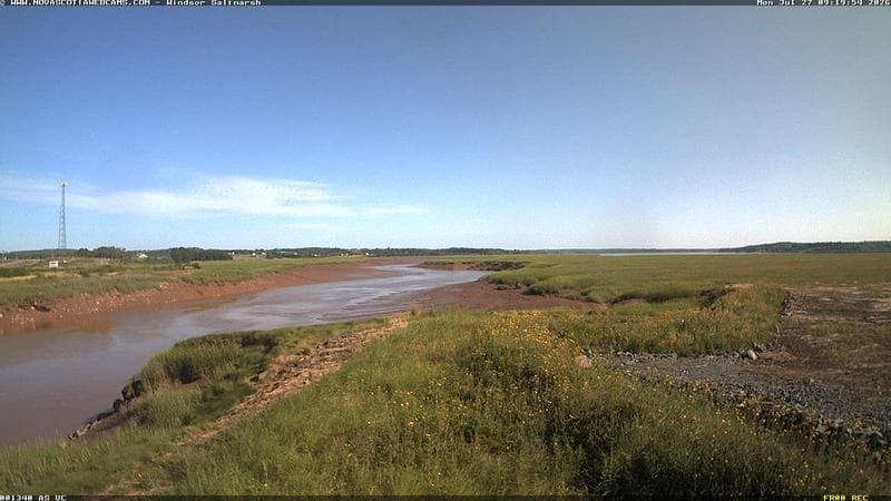 Windsor Salt Marsh