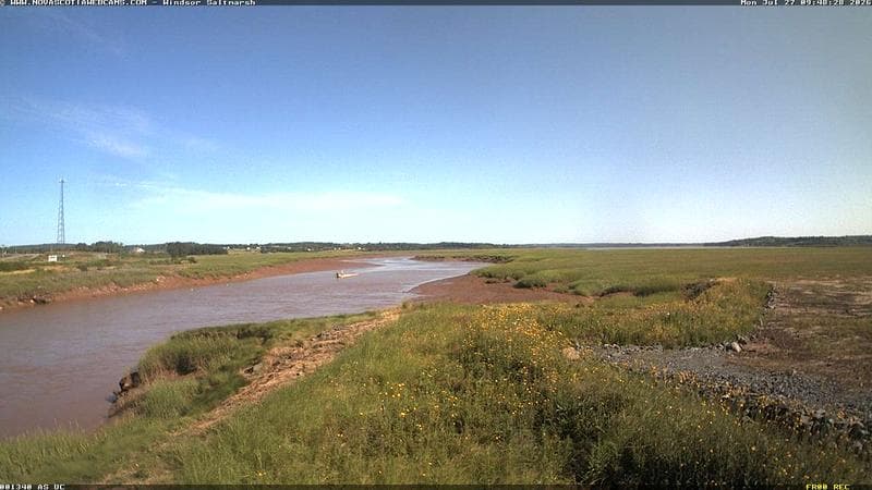 Windsor Salt Marsh