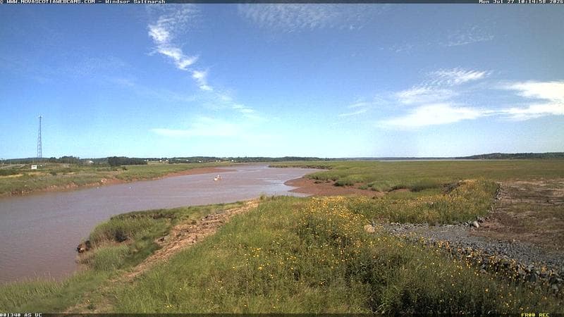 Windsor Salt Marsh