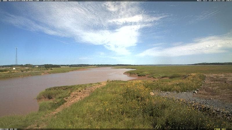 Windsor Salt Marsh