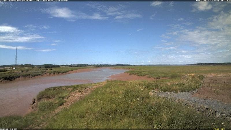 Windsor Salt Marsh