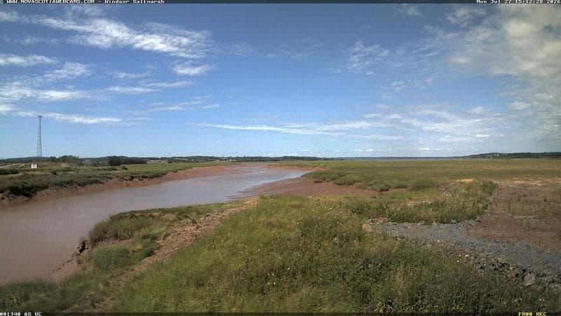Windsor Salt Marsh