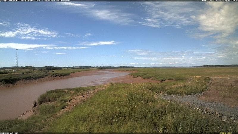 Windsor Salt Marsh