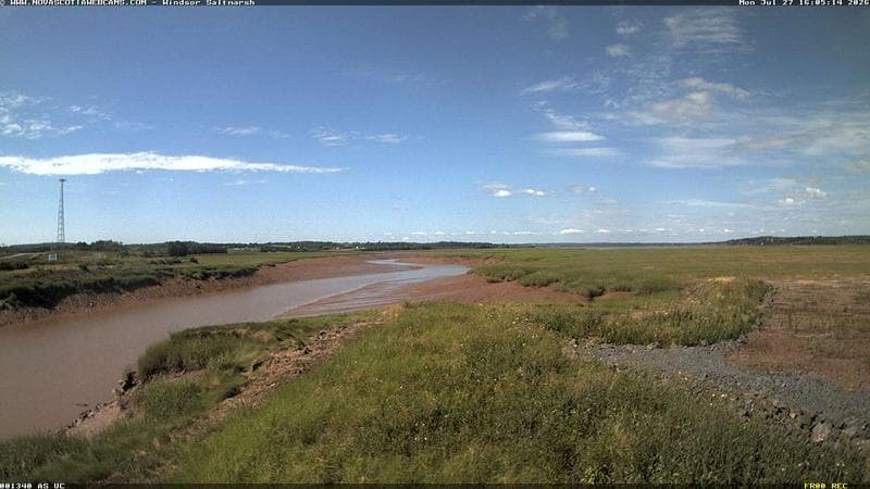 Windsor Salt Marsh
