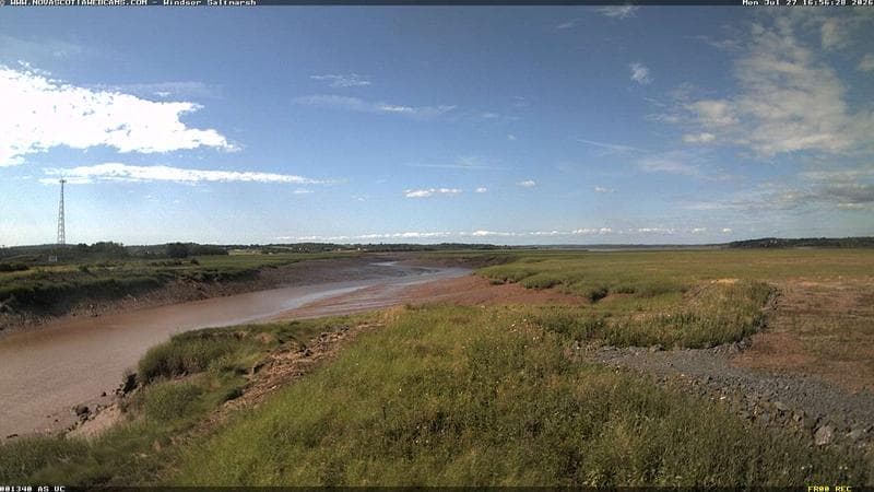 Windsor Salt Marsh