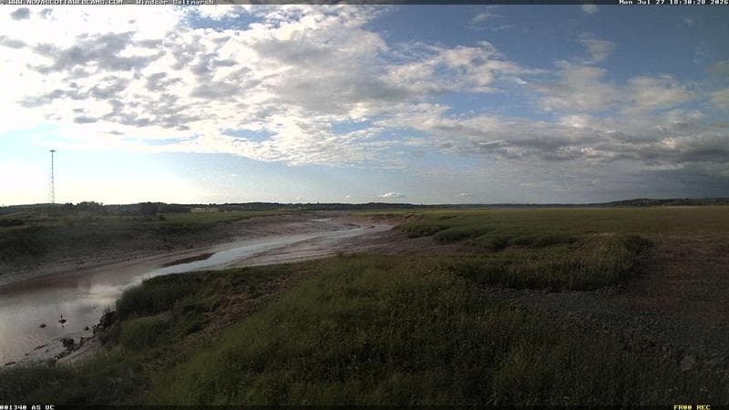 Windsor Salt Marsh