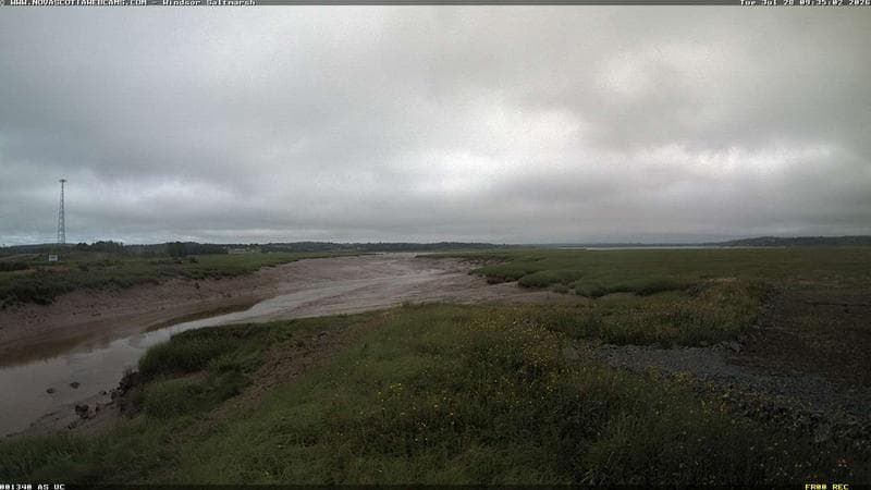 Windsor Salt Marsh