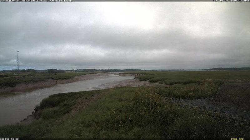 Windsor Salt Marsh