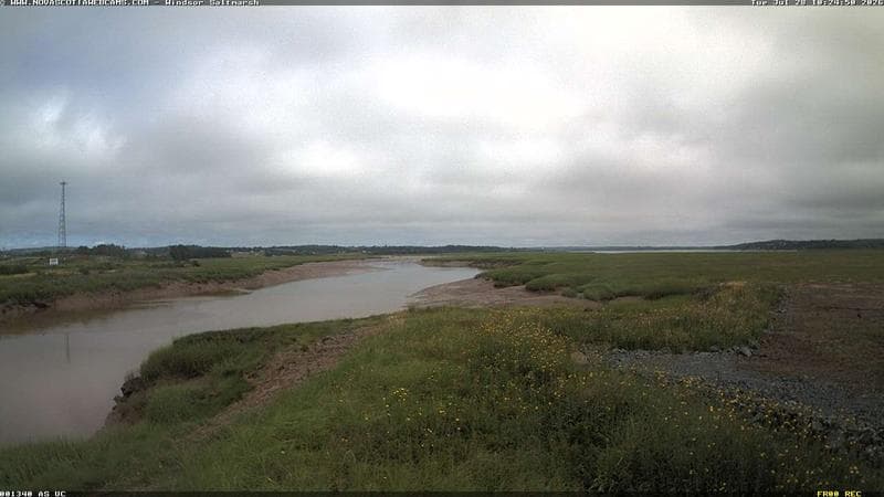 Windsor Salt Marsh
