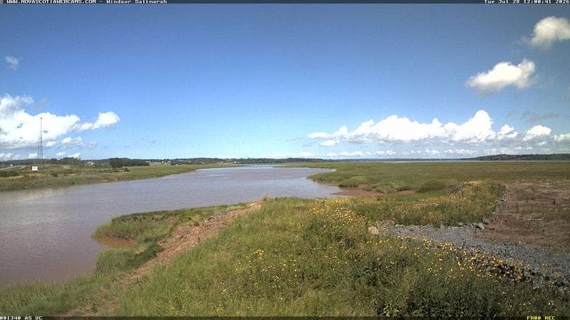 Windsor Salt Marsh