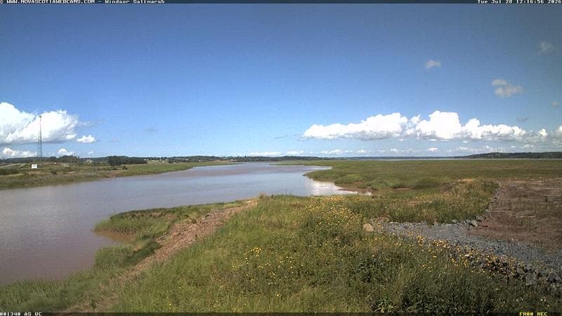Windsor Salt Marsh