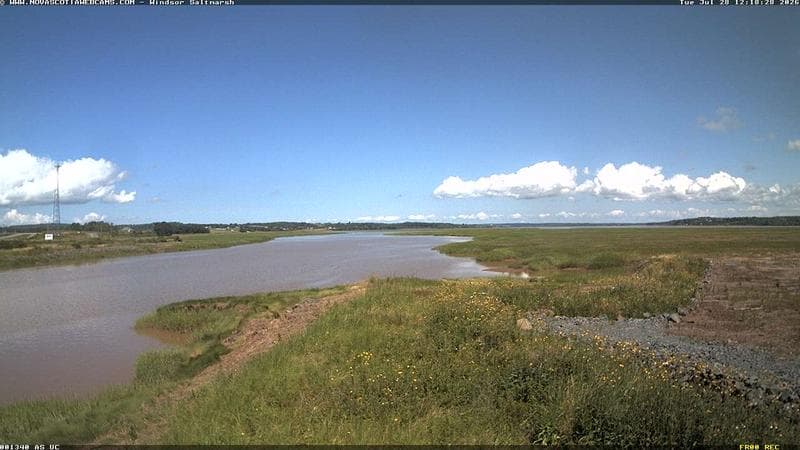 Windsor Salt Marsh
