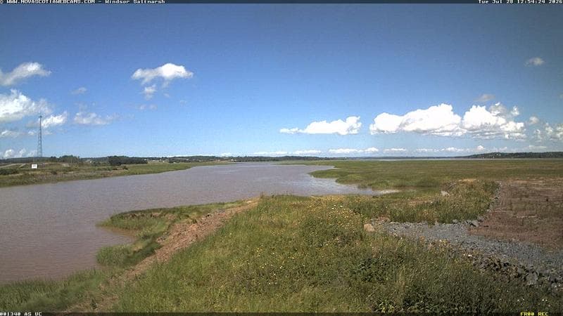 Windsor Salt Marsh
