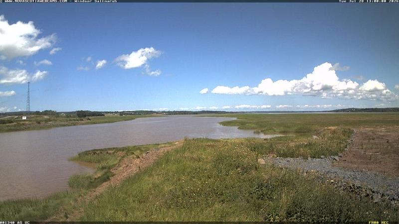 Windsor Salt Marsh