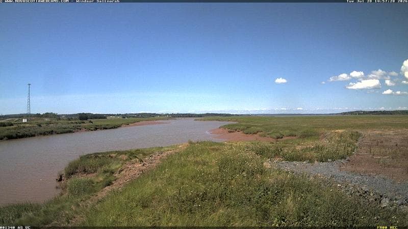 Windsor Salt Marsh