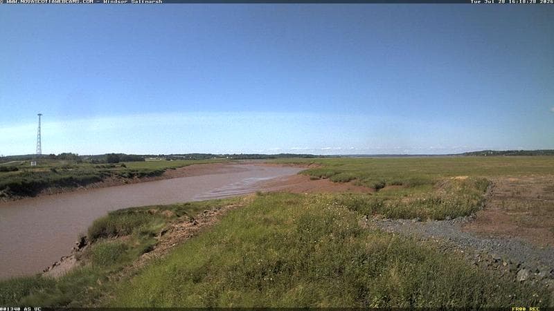 Windsor Salt Marsh