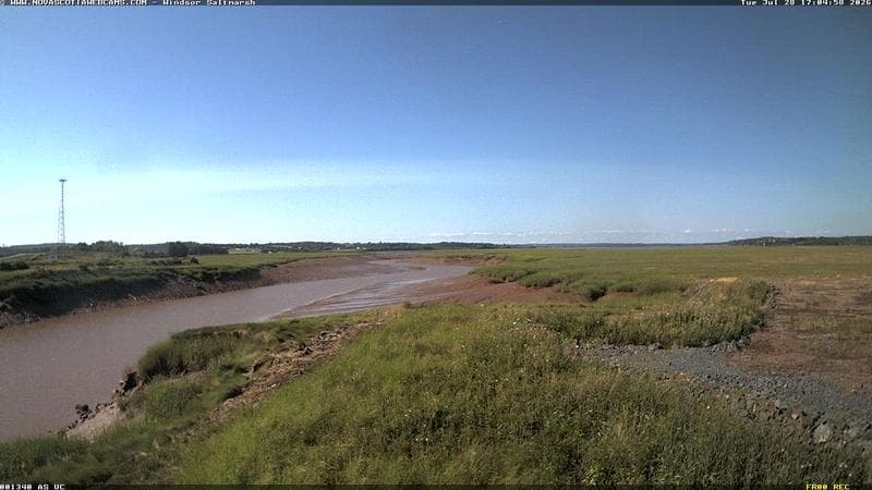 Windsor Salt Marsh